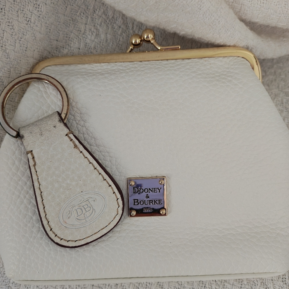 Dooney and Bourke mini clutch